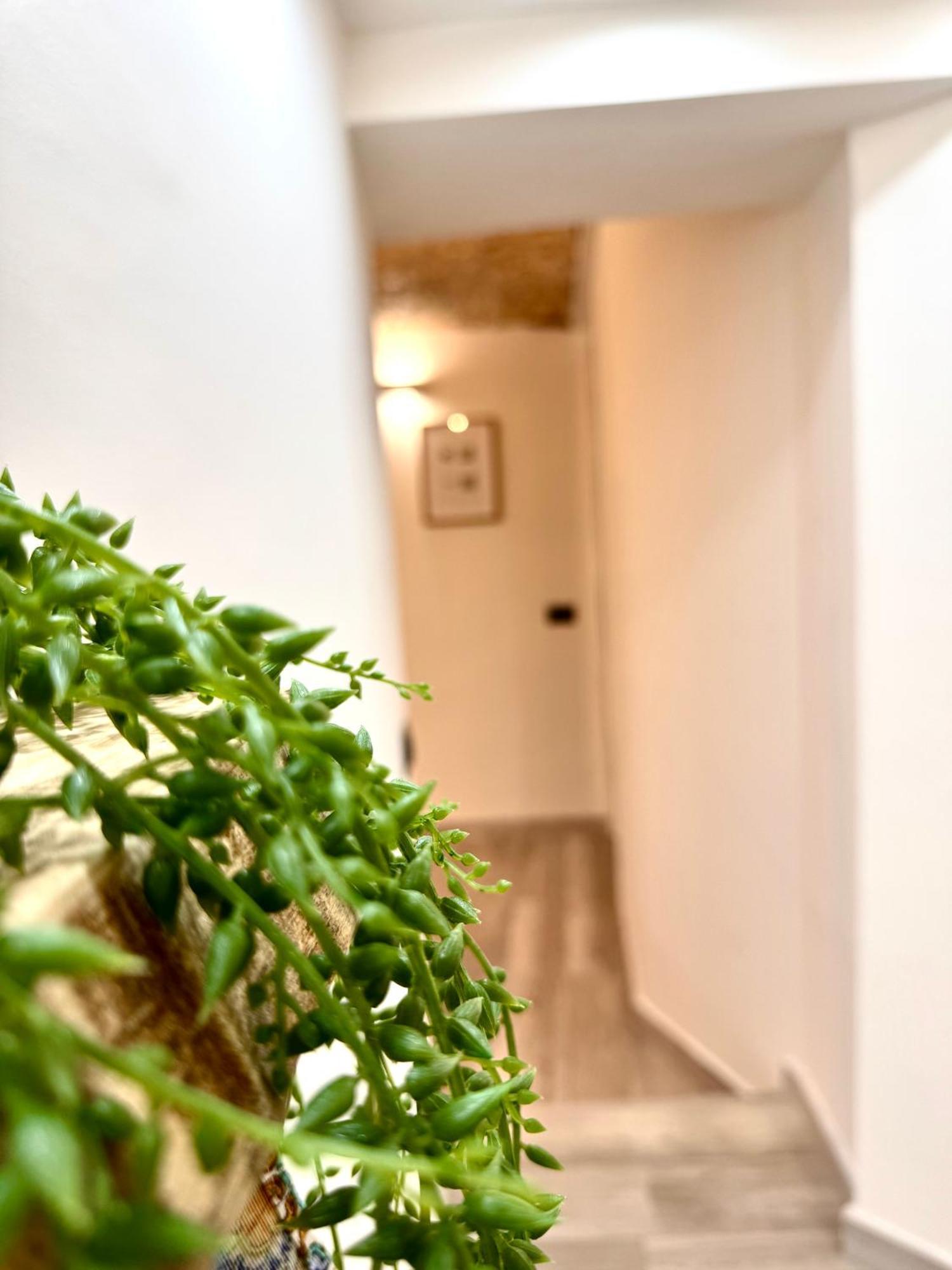 Luxury Stay Palermo Suite Con Spa Privata Vicino Stazione Exterior foto